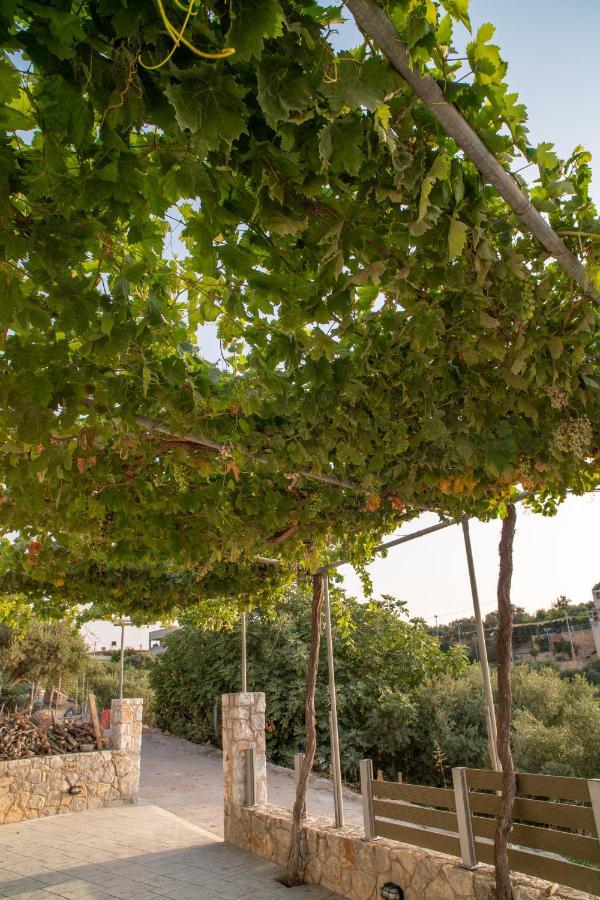 Hello Village Chania Sfakianalion Εξωτερικό φωτογραφία